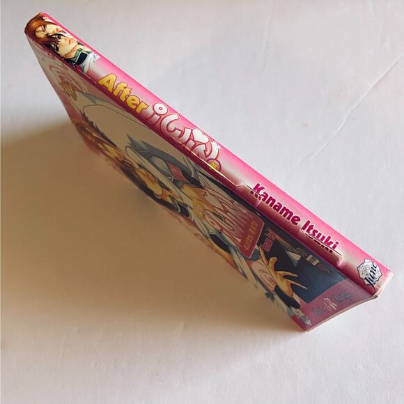 After I Win Kaname Itsuki Yaoi Manga June DMP Graphic Novel Soft Cover - Picture 3 of 5